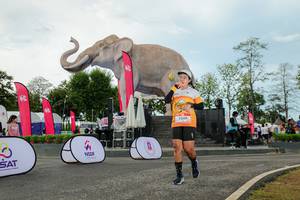 BIB: 
                            <button type="button" onclick="openModal(26529014)" class="btn btn-primary btn-sm float-right btn-popup" data-toggle="modal" data-target=".modal-high-quality">
                        <i class="fas fa-shopping-cart"></i> Add to Cart
                    </button>
                                            <button type="button" onclick="isThisMe(26529014, true)" class="btn btn-success btn-sm float-right btn-popup btn-isme hidden" data-toggle="tooltip" data-placement="bottom" title="นี่คือรูปของคุณใช่ไหม คลิกที่นี่เพื่อเอาเข้าอัลบั้ม">
                        <i class="fas fa-plus"></i> Add to album
                    </button>
                    <button type="button" onclick="isThisMe(26529014, false)" class="btn btn-warning btn-sm float-right btn-popup btn-isnotme hidden">
                        <i class="fas fa-ban"></i> Remove from album
                    </button>